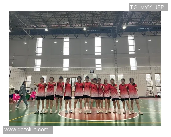 北京排球队灵活性创新高引发全国关注排球界新风潮