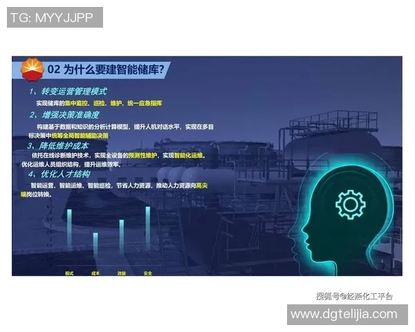 北京羽毛球队个人能力引发热议球员表现与团队战术的深度探讨 北京羽毛球队个人能力引发热议球员表现与团队战术的深度探讨