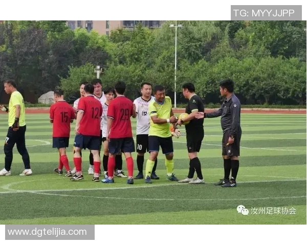 深圳足球队比赛经验分析与表现评估的综合研究报告