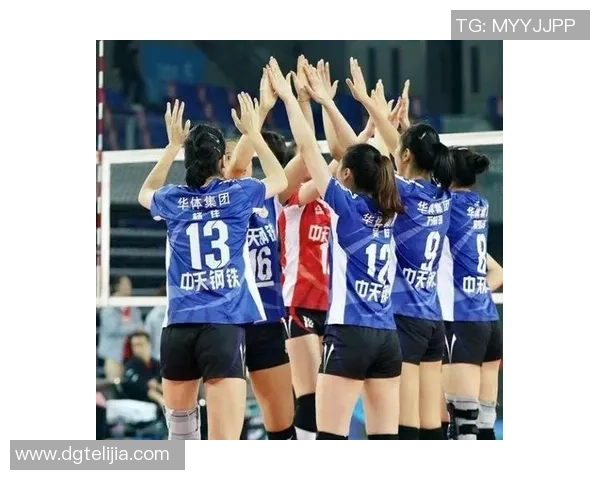 南京排球队在精英赛中的灵活性表现分析与战术探讨