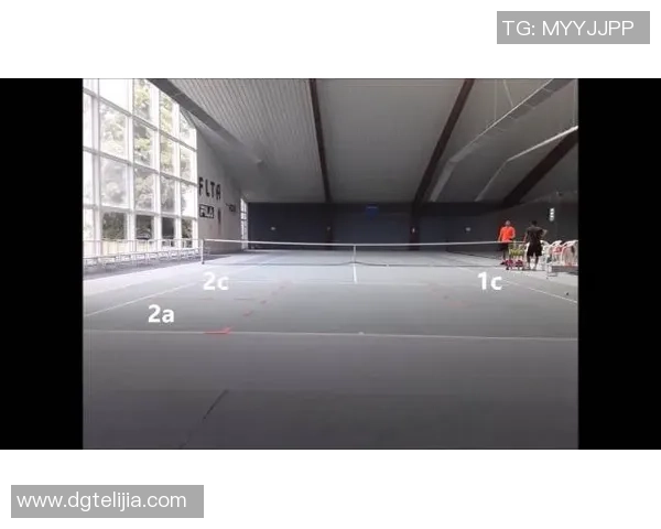 南京网球队控制打法的深度分析与战术解读