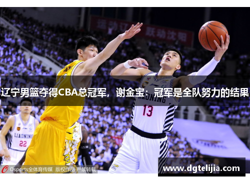 辽宁男篮夺得CBA总冠军，谢金宝：冠军是全队努力的结果