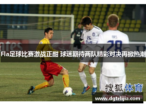 Fla足球比赛激战正酣 球迷期待两队精彩对决再掀热潮
