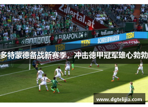 多特蒙德备战新赛季，冲击德甲冠军雄心勃勃